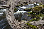 Click to see Y-JG-A7R-IV-24-70-GM-II-0115-FOR-STACK.JPG