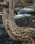 Click to see Y-JG-A7R-IV-24-70-GM-II-0116-0117-STACKED-MOD.JPG
