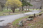 Click to see Y-JG-A7R-IV-24-70-GM-II-0135.JPG