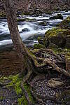 Click to see Y-JG-A7R-IV-24-70-GM-II-0184-FOR-STACK.JPG
