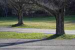 Click to see Y-JG-A7R-IV-24-70-GM-II-0373.JPG