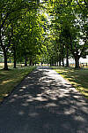 Click to see Y-JG-A7R-IV-FE-24-105-8829.JPG