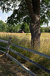 Click to see Y-JG-A7R-IV-FE-24-105-8853.JPG