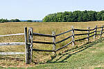 Click to see Y-JG-A7R-IV-FE-24-105-8857.JPG