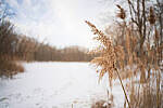 Click to see Y-JG-A7R-IV-SIGMA-20MM-8055-MOD.JPG