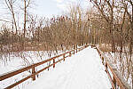 Click to see Y-JG-A7R-IV-SIGMA-20MM-8058-MOD.JPG