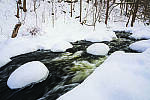 Click to see Y-JG-A7R-IV-SIGMA-20MM-8137-MOD.JPG