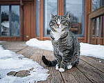 Click to see Y-JG-A7R-IV-SIGMA-20MM-8164-MOD.JPG