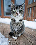 Click to see Y-JG-A7R-IV-SIGMA-20MM-8167-MOD.JPG