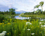 Click to see Y-JG-A7R-IV-SIGMA-20MM-F1-4-ART-9096-MOD.JPG