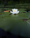 Click to see Y-JG-A7R-IV-SIGMA-20MM-F1-4-ART-9141-MOD.JPG