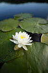 Click to see Y-JG-A7R-IV-SIGMA-20MM-F1-4-ART-9179.JPG