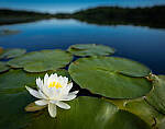 Click to see Y-JG-A7R-IV-SIGMA-20MM-F1-4-ART-9193-MOD.JPG