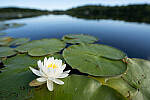 Click to see Y-JG-A7R-IV-SIGMA-20MM-F1-4-ART-9193.JPG