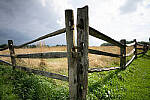 Click to see Y-JG-A7R-IV-SIGMA-20MM-F1-4-ART-9359.JPG