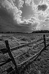 Click to see Y-JG-A7R-IV-SIGMA-20MM-F1-4-ART-9370-MOD.JPG