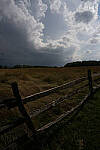 Click to see Y-JG-A7R-IV-SIGMA-20MM-F1-4-ART-9370.JPG