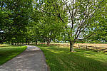 Click to see Y-JG-A7R-IV-SIGMA-20MM-F1-4-ART-9381-MOD.JPG