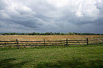 Click to see Y-JG-A7R-IV-SIGMA-20MM-F1-4-ART-9392.JPG