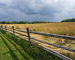 Click to see Y-JG-A7R-IV-SIGMA-20MM-F1-4-ART-9397-MOD.JPG