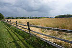 Click to see Y-JG-A7R-IV-SIGMA-20MM-F1-4-ART-9397.JPG
