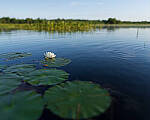Click to see Y-JG-A7R-IV-SIGMA-24MM-F1-4-ART-9017-MOD.JPG