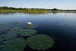 Click to see Y-JG-A7R-IV-SIGMA-24MM-F1-4-ART-9017.JPG