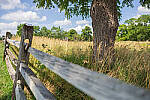 Click to see Y-JG-A7R-IV-SIGMA-24MM-F1-4-ART-9253-MOD.JPG