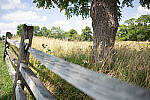 Click to see Y-JG-A7R-IV-SIGMA-24MM-F1-4-ART-9253.JPG