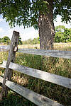 Click to see Y-JG-A7R-IV-SIGMA-24MM-F1-4-ART-9256.JPG