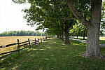 Click to see Y-JG-A7R-IV-SIGMA-24MM-F1-4-ART-9267.JPG