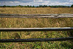Click to see Y-JG-A7R-IV-SIGMA-24MM-F1-4-ART-9279-MOD.JPG