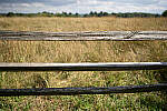Click to see Y-JG-A7R-IV-SIGMA-24MM-F1-4-ART-9279.JPG