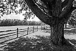 Click to see Y-JG-A7R-IV-SIGMA-24MM-F1-4-ART-9285-MOD.JPG