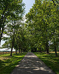 Click to see Y-JG-A7R-IV-SIGMA-24MM-F1-4-ART-9299-MOD.JPG