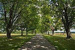 Click to see Y-JG-A7R-IV-SIGMA-24MM-F1-4-ART-9305-MOD.JPG