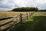 Click to see Y-JG-A7R-IV-SIGMA-24MM-F1-4-ART-9313.JPG
