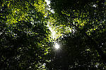 Click to see Y-JG-A7R-IV-SIGMA-24MM-F1-4-ART-9327.JPG