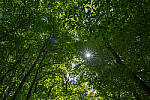 Click to see Y-JG-A7R-IV-SIGMA-24MM-F1-4-ART-9329-MOD.JPG