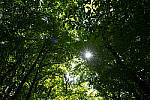 Click to see Y-JG-A7R-IV-SIGMA-24MM-F1-4-ART-9329.JPG