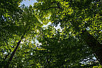 Click to see Y-JG-A7R-IV-SIGMA-24MM-F1-4-ART-9336-MOD.JPG