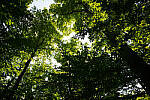 Click to see Y-JG-A7R-IV-SIGMA-24MM-F1-4-ART-9336.JPG