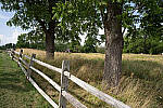 Click to see Y-JG-A7R-IV-SIGMA-24MM-F1-4-ART-9354.JPG