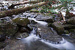 Click to see Y-JG-A7R-IV-SIGMA-35MM-0393-MOD.JPG