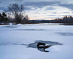 Click to see Y-JG-A7R-IV-SIGMA-35MM-0745-MOD.JPG