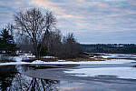Click to see Y-JG-A7R-IV-SIGMA-65MM-0325-MOD.JPG