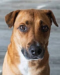 Click to see Y-JG-A7R-IV-TAMRON-18-300-8297-MOD.JPG