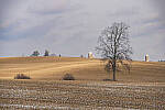 Click to see Y-JG-A7R-IV-TAMRON-18-300-8303-MOD.JPG