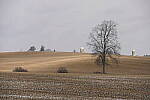 Click to see Y-JG-A7R-IV-TAMRON-18-300-8303.JPG