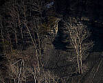 Click to see Y-JG-A7R-IV-TAMRON-18-300-8340-MOD.JPG